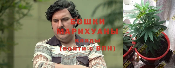 ПСИЛОЦИБИНОВЫЕ ГРИБЫ Вязники