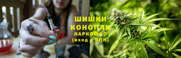 гашик Вяземский