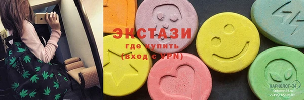 гашик Вяземский