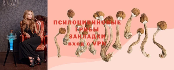 гашик Вяземский