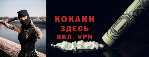 ПСИЛОЦИБИНОВЫЕ ГРИБЫ Вязники