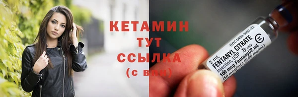 ПСИЛОЦИБИНОВЫЕ ГРИБЫ Вязники