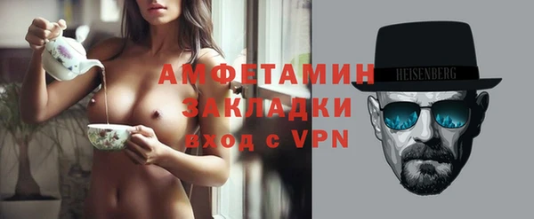 ПСИЛОЦИБИНОВЫЕ ГРИБЫ Вязники