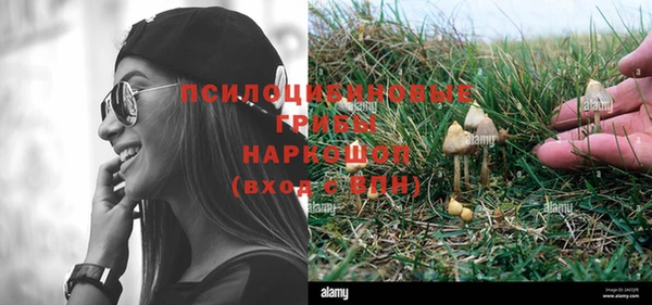 гашик Вяземский