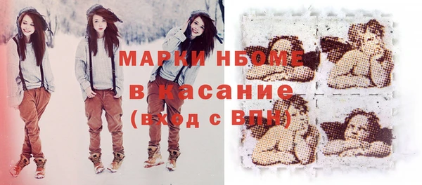 гашик Вяземский