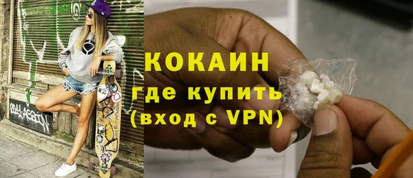 гашик Вяземский