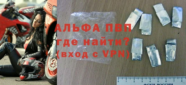 гашик Вяземский