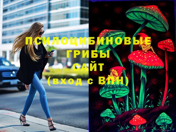 Альфа ПВП Вязьма