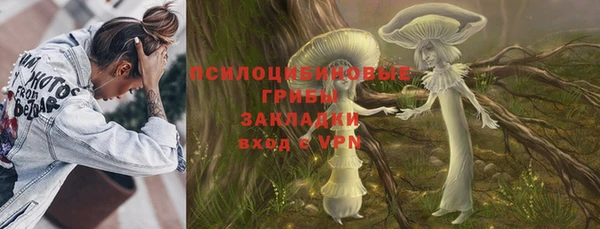 ПСИЛОЦИБИНОВЫЕ ГРИБЫ Вязники