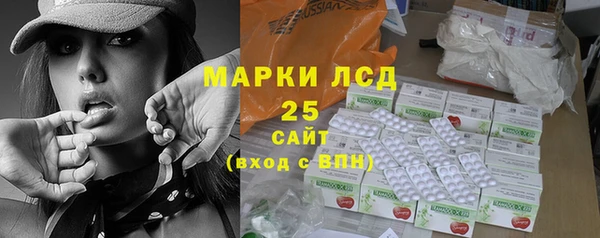гашик Вяземский