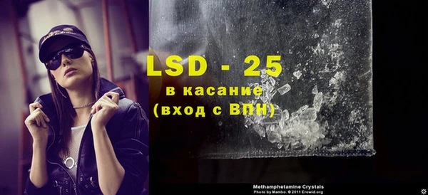 ПСИЛОЦИБИНОВЫЕ ГРИБЫ Вязники