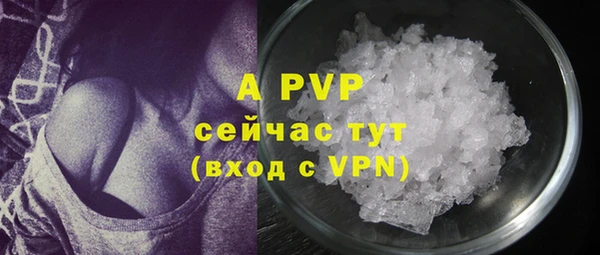 ПСИЛОЦИБИНОВЫЕ ГРИБЫ Вязники