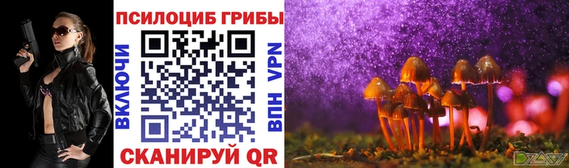 Псилоцибиновые грибы Cubensis Заозёрный