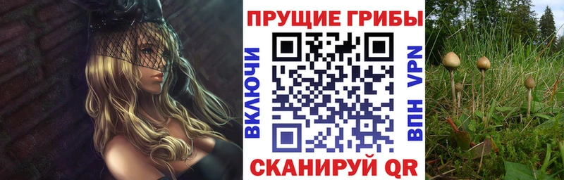 Псилоцибиновые грибы мухоморы  Заозёрный 